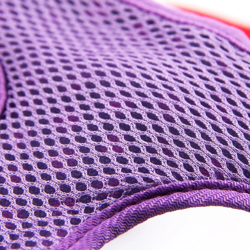 Товары для собак и кошек разноцветные поводки|Портупеи| |