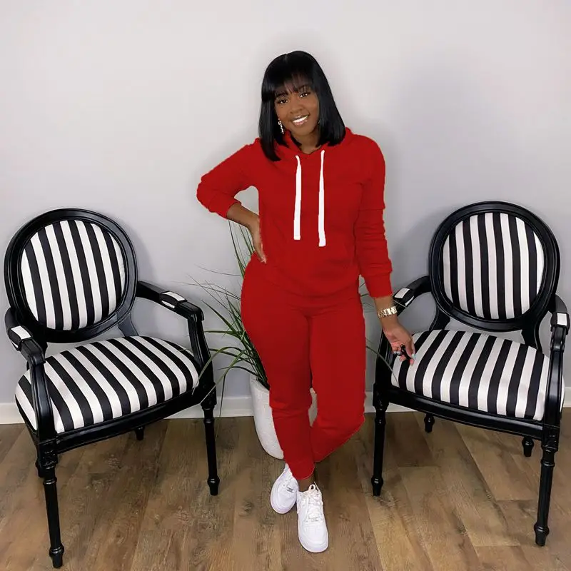 

Aesthetic Hooded Two Piece Tracksuits Women Set Long Sleeve Top and Fall Trendy Sweatpants Lounge Wear Matching Sets