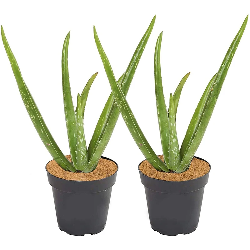 10 шт. защитных накладок из кокосового пальмового волокна 11 8 дюйма для дисковых