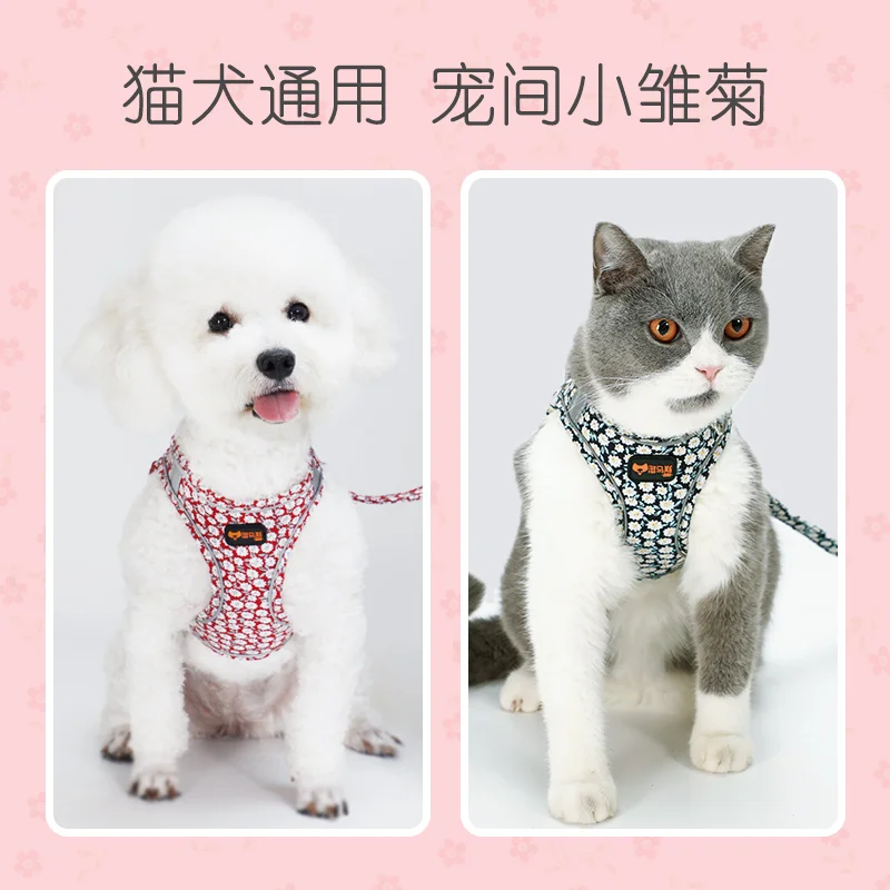 

Pet Hand Holding Rope Dog Cat Vest-Style Chest Strap Dog Leash Small and Medium-Sized Dogs Cat Rope Collar Dog Chain