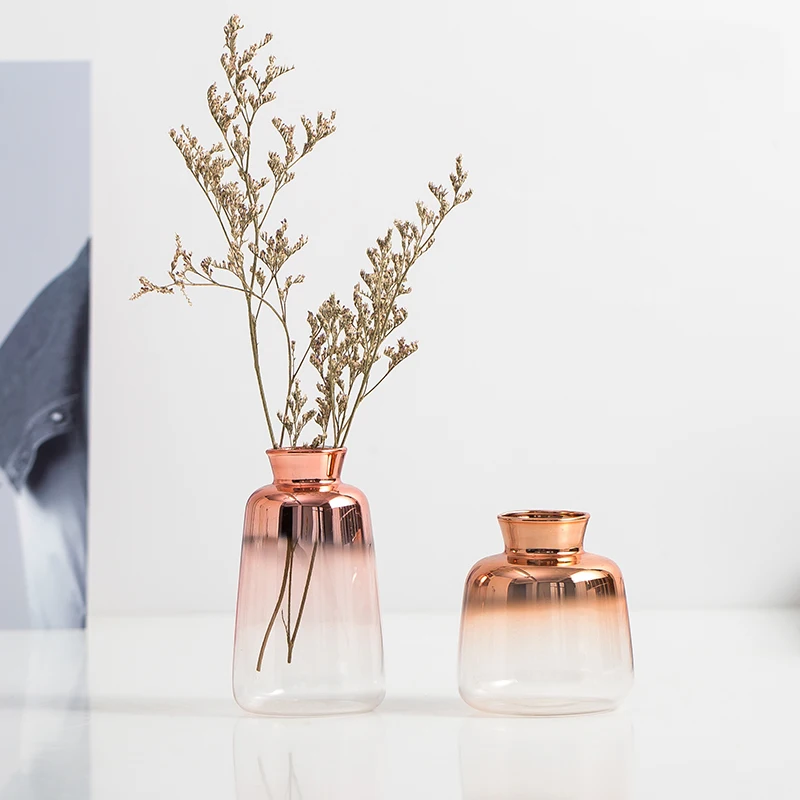 

Modern Decorative Vase Glass Tabletop Vase Nordic Decoration Home Hydroponic Transparent Flowers Vases Living Room Decoration