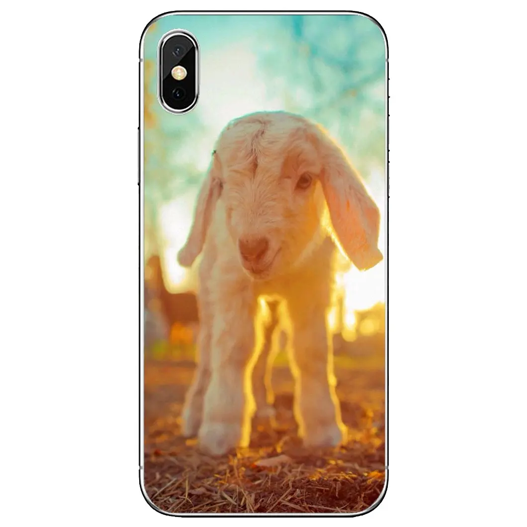 Чехол для Xiaomi Mi A1 A2 A3 5X 6X 8 9 9T 10 10T 11 Lite SE Pro | Мобильные телефоны и аксессуары