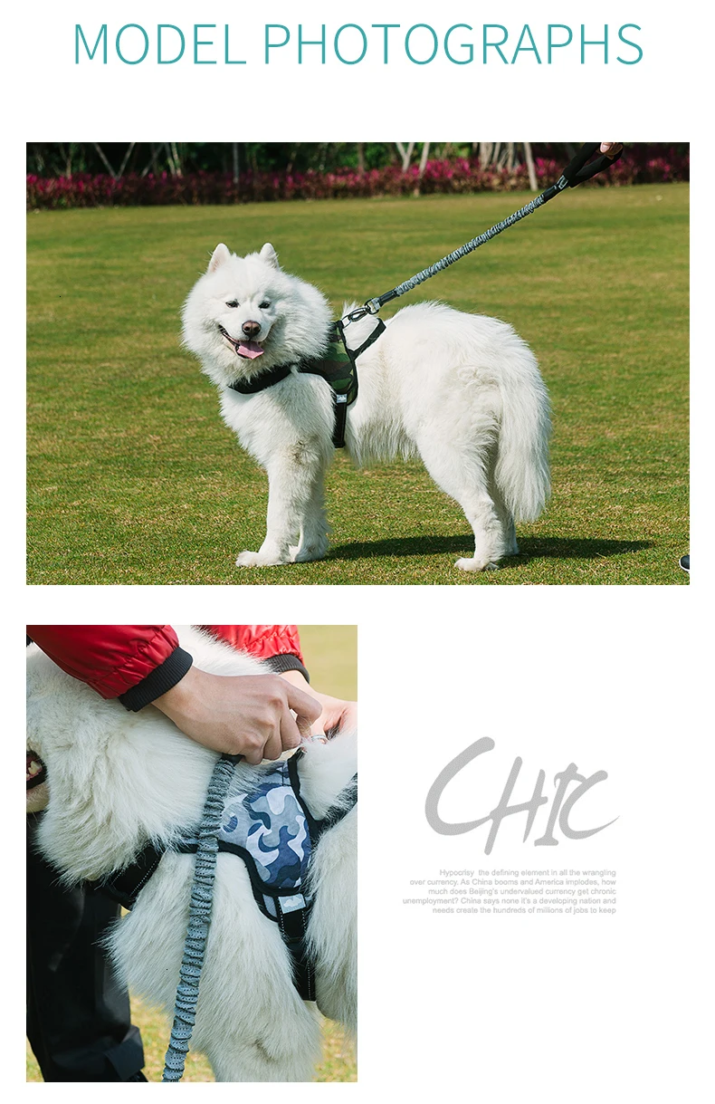 TUFF HOUND поводок для собак из нейлона, Высокоэластичный поводок для маленьких и больших собак, мягкий пояс, безопасный для питомцев
