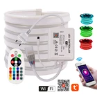 Wi-Fi RGB неоновые полосы светильник + 24Key дистанционного 5050 гибкий светодиодный лента с помощью приложения на телефоне Управление Водонепроницаемый неоновая вывеска для организаций и магазинов поводок 110V 220V