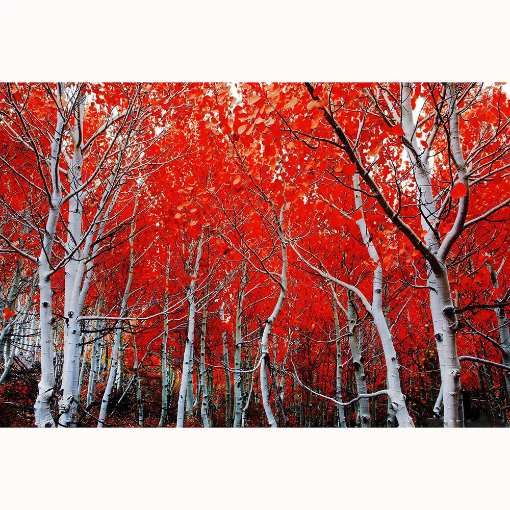 Алмазная живопись полноразмерная Мозаика из красного кленового листа алмазная