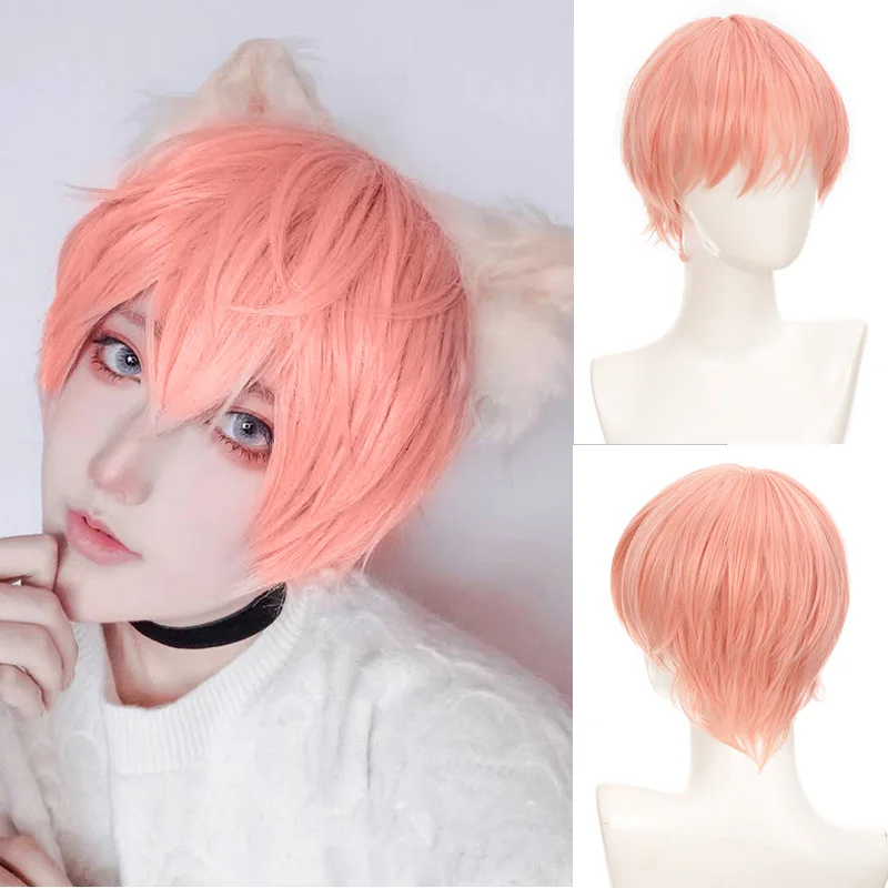

AILIADE Men's Wig Pink Medium Straight Cosplay Wig Synthetic Hair Heat Resistant Boy Girl Party Full Wigs Cosplay Costume Wigs
