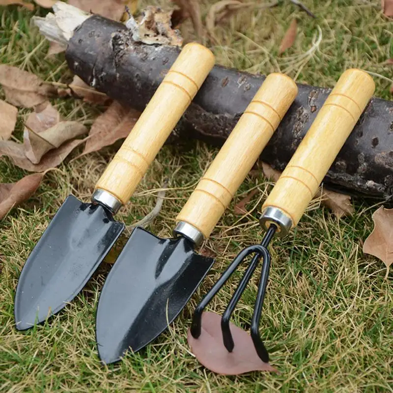 

3Pcs Mini Shovel Rake Set Shovel for Plants Bonsai Tools Garden Mini Hand Tools