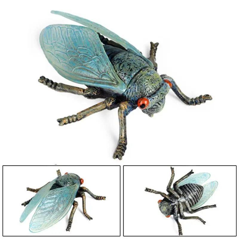 

3pcs/set Simulation Solid Static Animal Model Ornament Realistic Insect Cicada F3ME