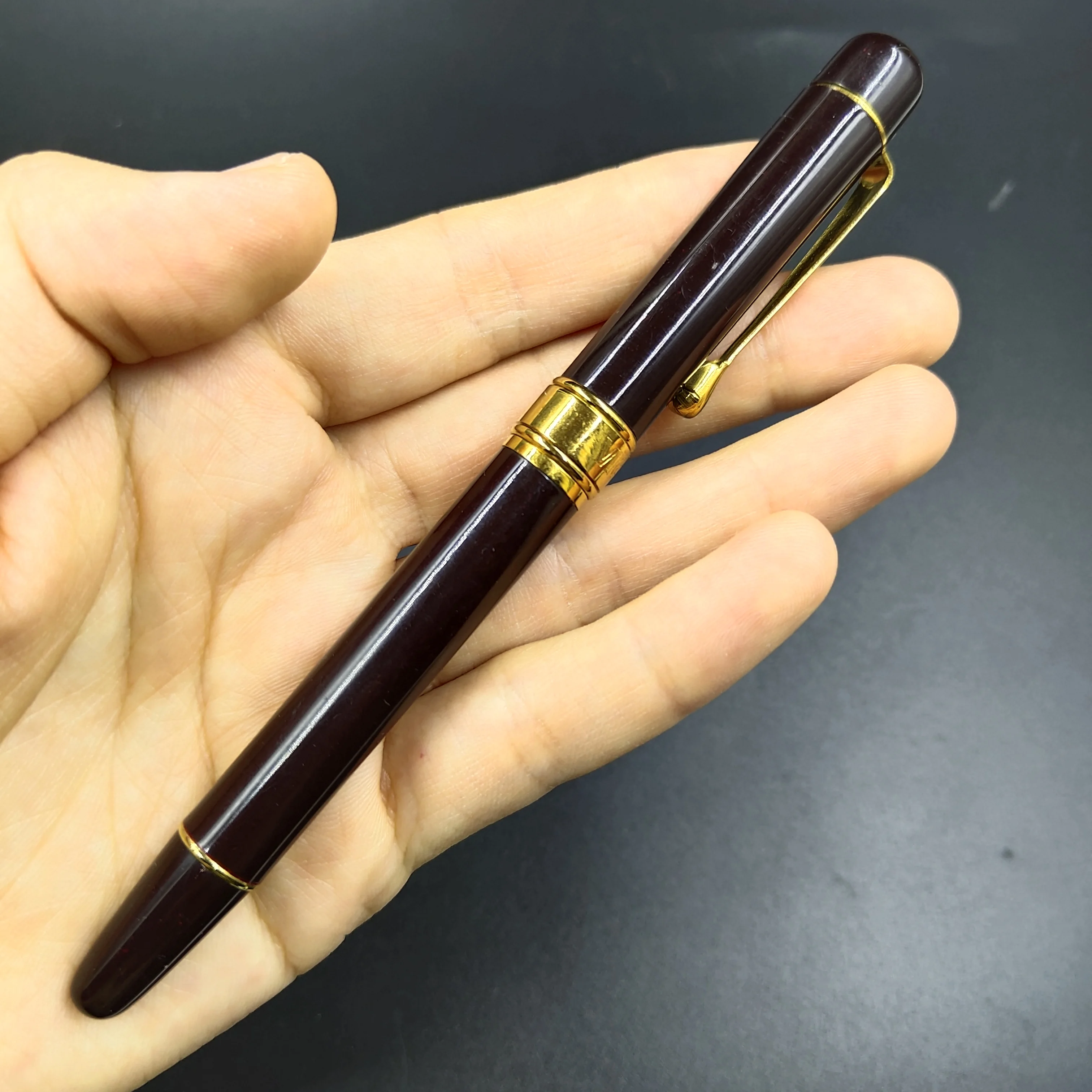 

ViceRoy Fountain Pen Metal Ink Pen Specil Shape Nib Converter Filler Stationery Office School Supplies Writing Gift