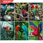 HUACAN 5D алмазная картина попугай полная квадратная дрель Новое поступление Алмазная вышивка животные мозаика Стразы домашний декор