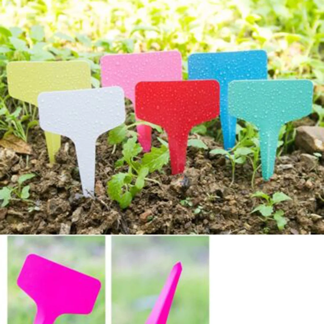 

100Pcs Plant Labels Garden Herbs Home Living Markers Name Plastic T-Type