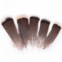 the new 100pcslot natural turkey feathers 10 15cmcm6 8inch jewelry for diy carnival wedding plume