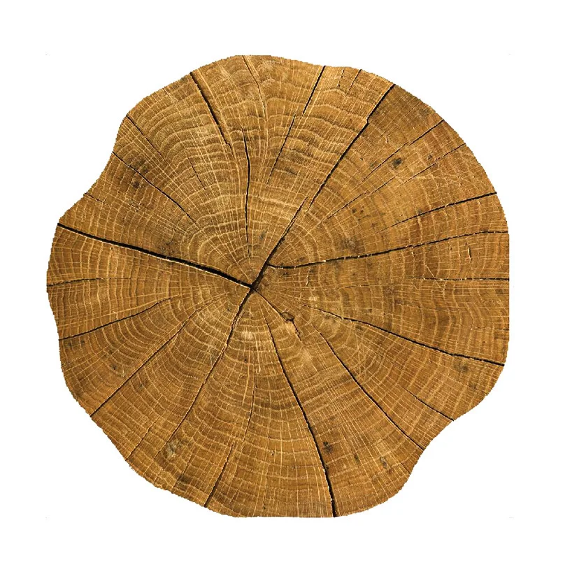 

PP Table Placemats For Dining Table Mat Placemat Table Heat Insulation Hot Pad Kitchen Mat Drink Cup Coasters Non-Slip