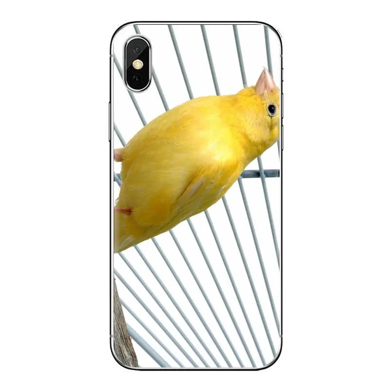Soft Transparent Bag Case For iPod Touch Apple iPhone 4 4S 5 5S SE 5C 6 6S 7 8 X XR XS Plus MAX Mosaic yellow Types Canary Birds |