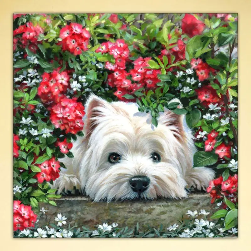 Картина вышивка колени из страз|Алмазная мозаика и вышивка| |