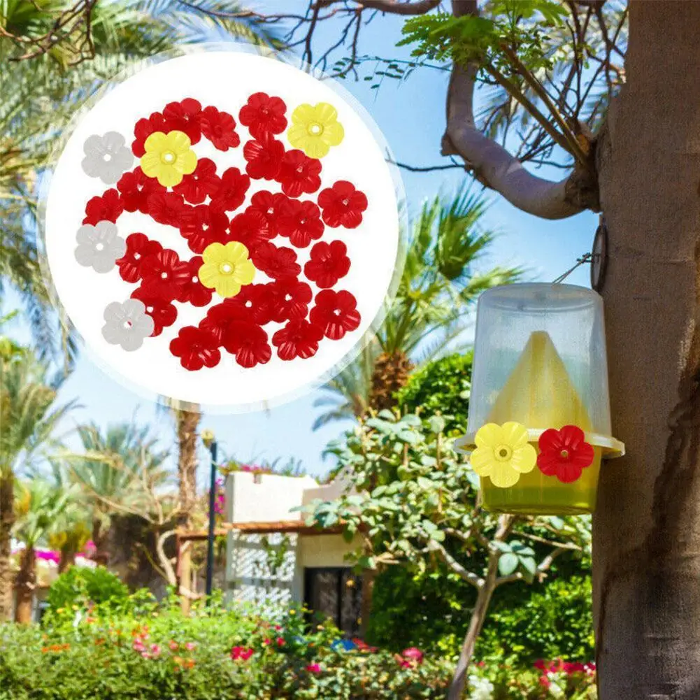 

5PCS Flowers Shape Handhold Bird Hummingbird Feeder Birds Dispenser Plastic Feeding Seed and Supplies Water Drinker G1M3