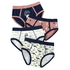 4 шт. в упаковке, трусы для мальчиков, хлопковые трусы для школьников Короткие штаны для подростков, нижнее белье детские трусы для подростков, KF328