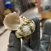 Изображение товара 0