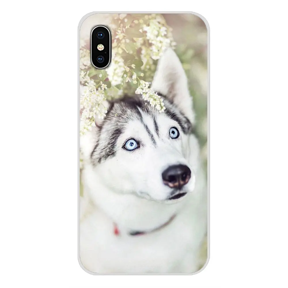 Аксессуары чехлы для телефонов Чехлы с животными Хаски щенок Samsung Galaxy J1 J2 J3 J4 J5 J6 J7