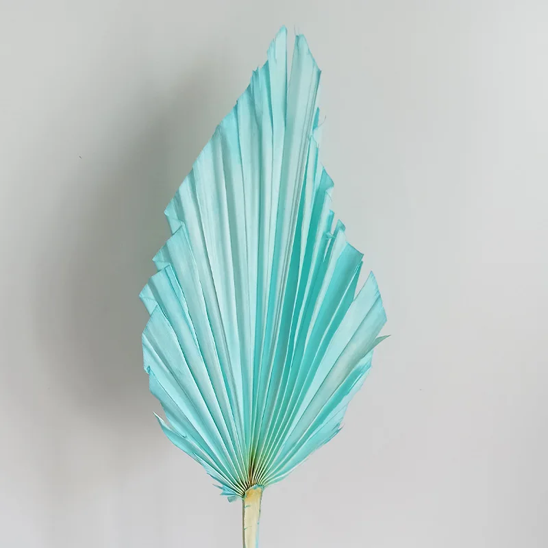 

5pcs/18*35cm,Natural Dried colorful Fan Palms,Eternell Display ArrangeAccessories Art Craft Home Wedding Decoration Photo Props