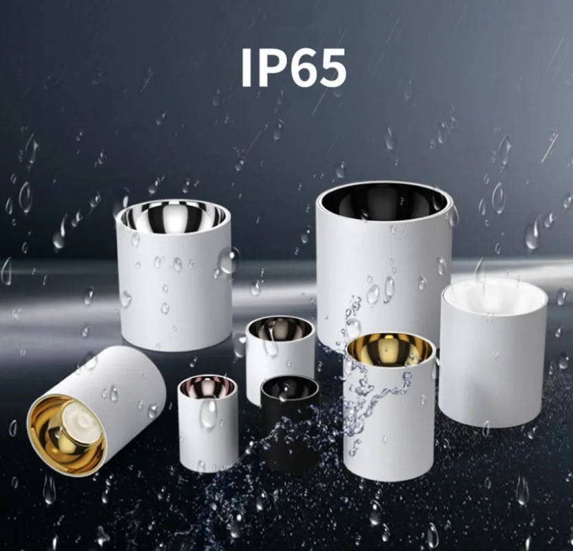Ceiling Anti-fog Spotlights