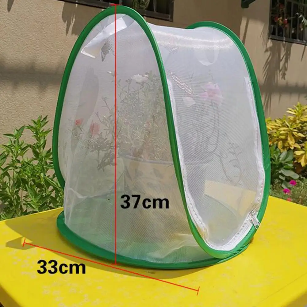 

Insect Cage Foldable Easy to Carry Green Insect Mesh Cage Terrarium for Garden
