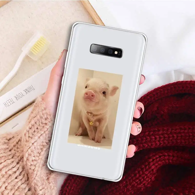

Cute animal funny cute pig Phone Case Transparent For Samsung Galaxy A 71 21s S note 8 9 10 plus 20 ultra