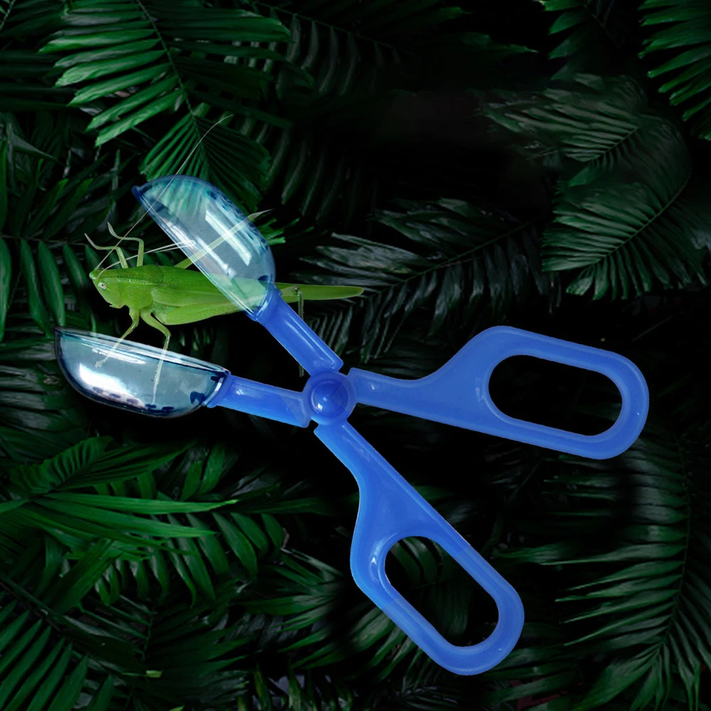 

Reptile Clip Transparent Lizards Tortoise Spider Reptile Bread Worms Plastic Tongs Cleaning Tool Pet Raising Feeding Accessories