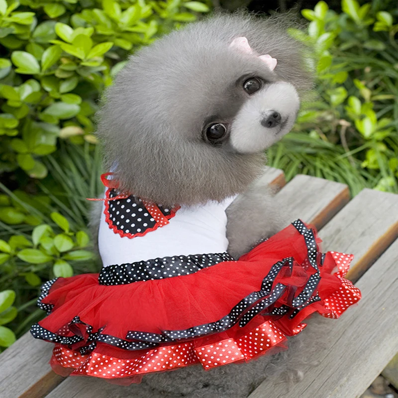 

Одежда для собак, милое платье принцессы, кружевная юбка с принтом «любовь», милое платье принцессы, одежда для домашних животных в стиле «л...