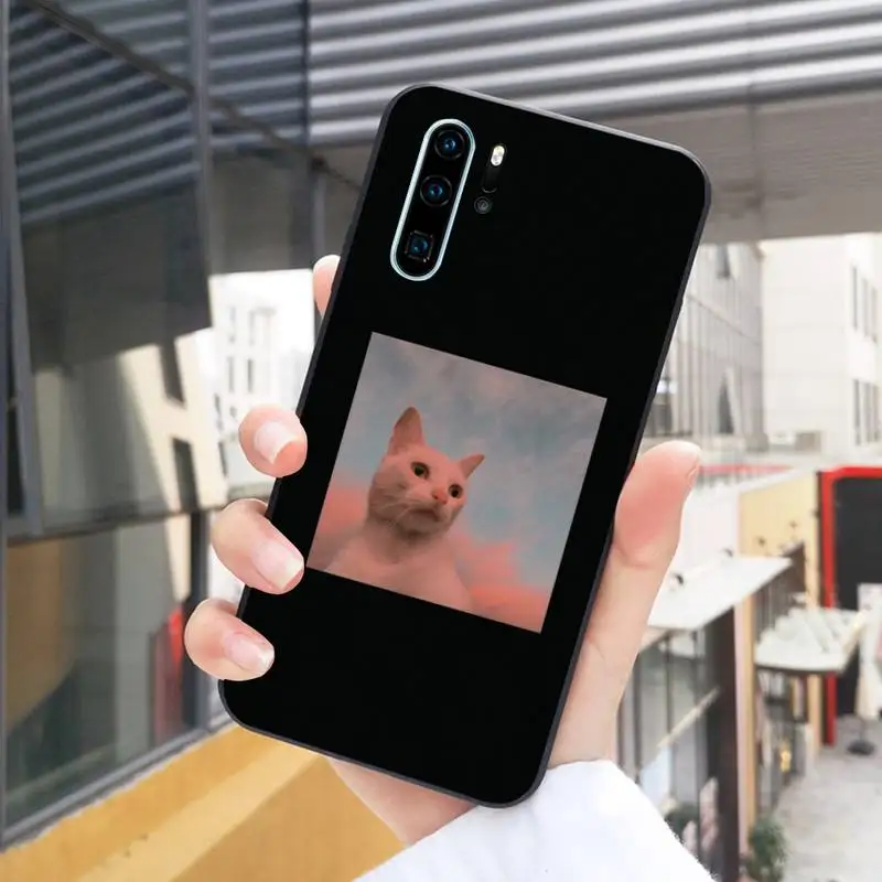 

Cat Phone Case Black For Huawei P10/20/30/40/20Pro/30Pro/30Lite/40Pro NOVA3/3E/3i/7SE Cases
