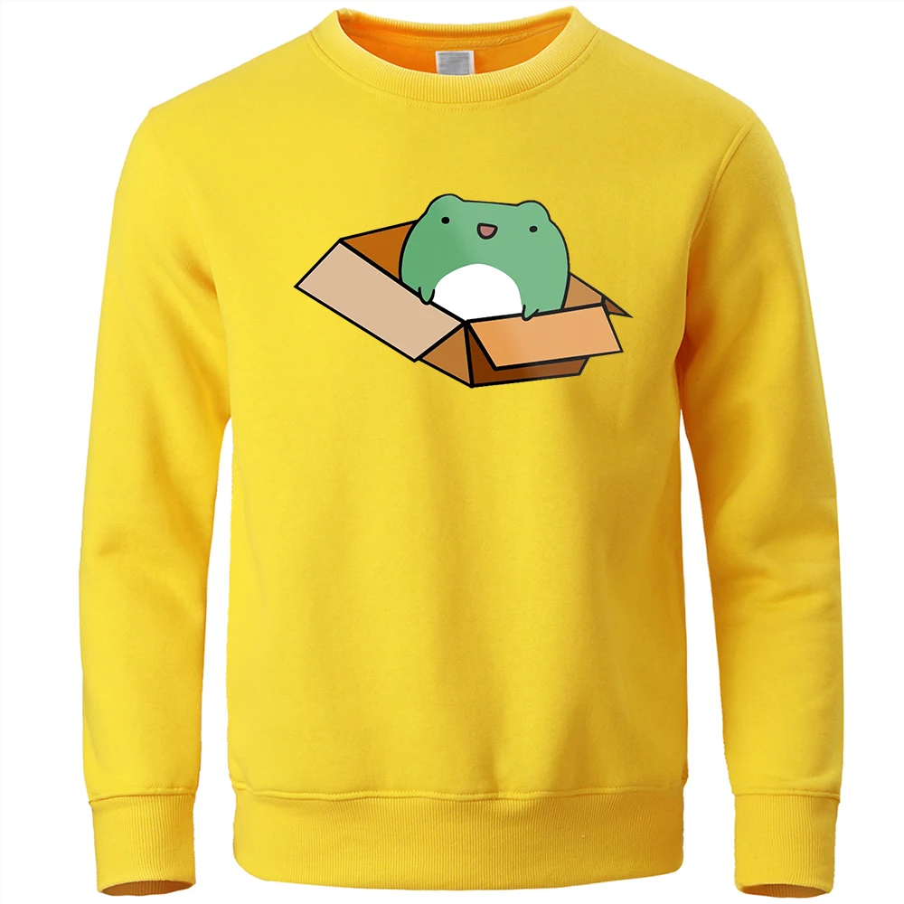 

Толстовка мужская с рисунком лягушки внутри коробки, Повседневный пуловер в стиле Харадзюку, спортивный свитшот, уличная одежда, осень