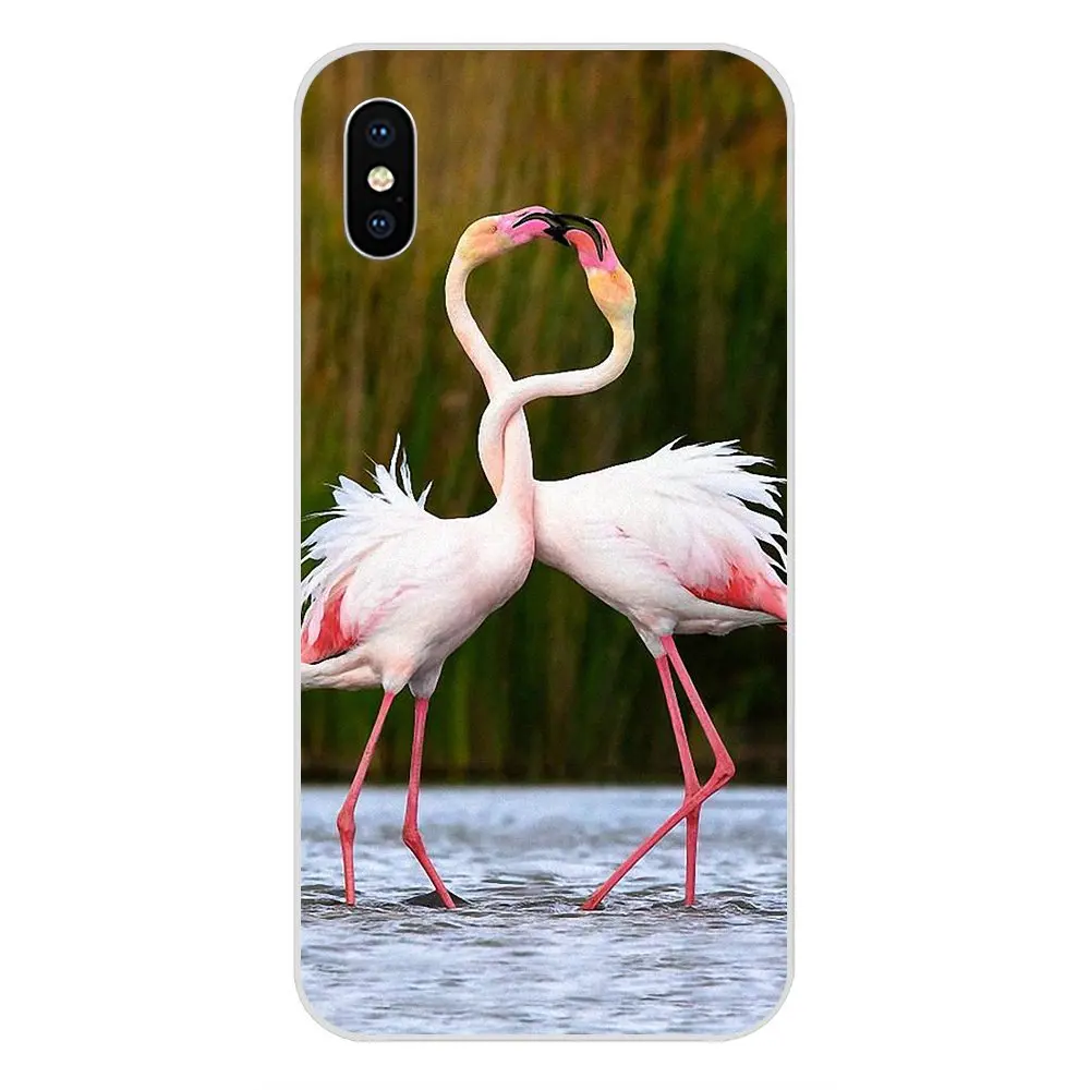 Защитный чехол для Huawei Nova 2 V20 Y3II Y5 Y5II Y6 Y6II Y7 Y9 G8 G9 GR3 GR5 GX8 Prime 2018 2019 Розовый фламинго |