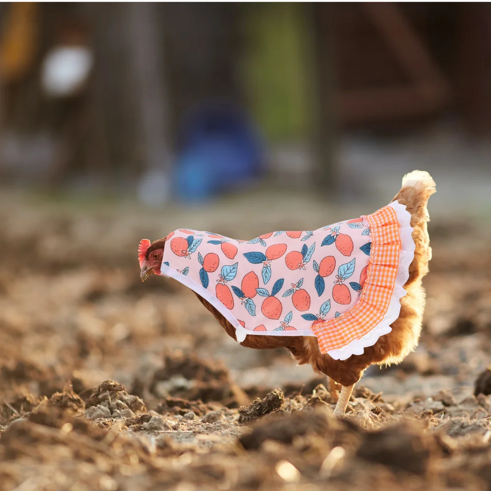 

Chicken Saddle Hen Apron with Adjustable Elastic Strap Chicken Straps