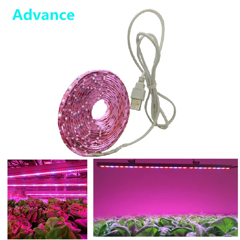Full Spectrum Usb Grow Light Strip 0.5m 1m 2m 2835 Chip Led Phyto Lamp For Plants Flowers Greenhouse Hydroponic