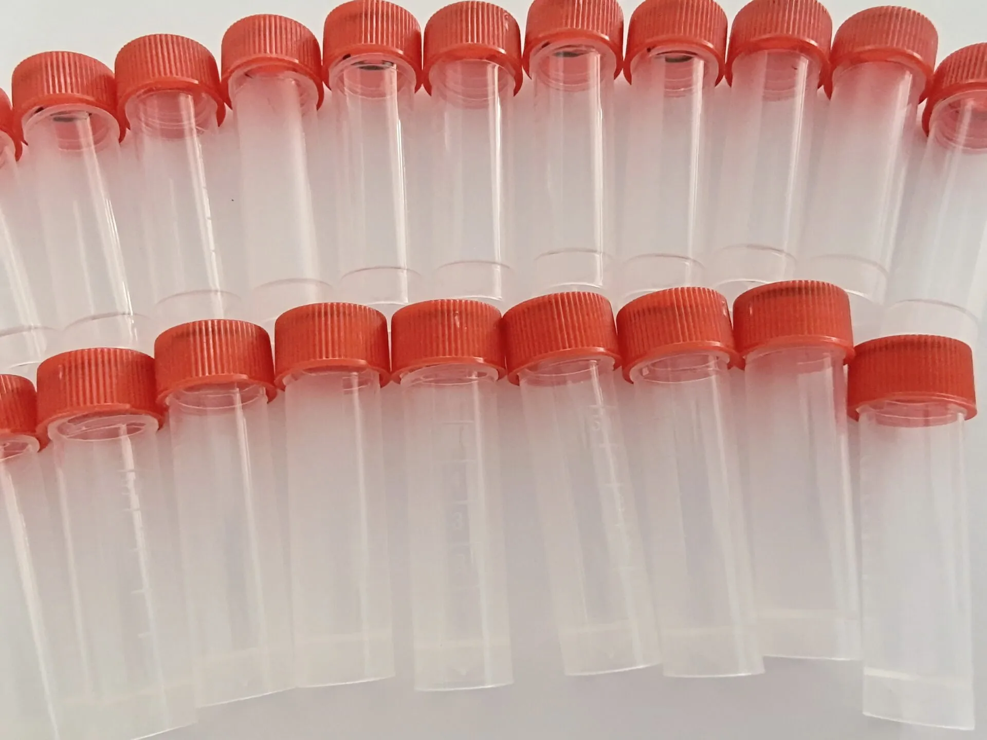 10Pcs 5ml plastic graduated cryotube with red screw cap frozen test tube | Дом и сад