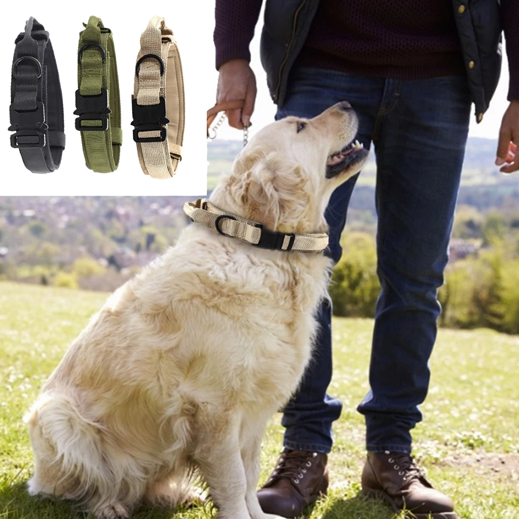 

Dog Collar with Safety Locking Buckle Adjustable for Puppy Medium Large Dogs
