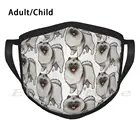 Моющаяся противопылевая маска для шарфа keeshonda Keeshound, ключи для ключей, гондук, померанский улыбающийся голландец