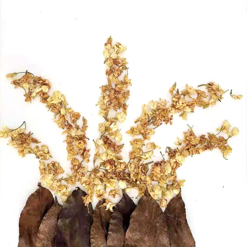 100% натуральный высушенный цветочный жасминовый головки набор сделай сам для