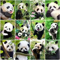 diy 5d diamond panda painting lovely kit full drill square round embroidery mosaic art picture of rhinestones home decor gifts