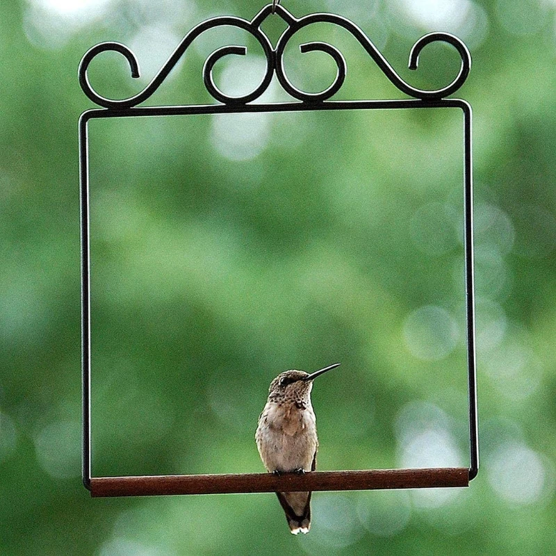 

Vintage Metal Frame Hummingbird Swing with Wooden Dowel Rust Resistant Hanging Hummingbird Swing Perch for Indoor Office