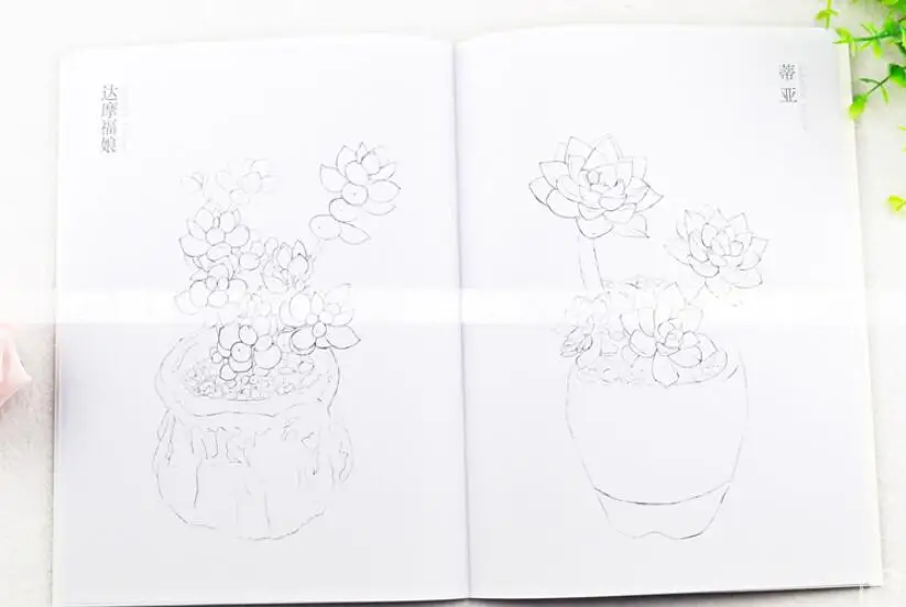 Novice Watercolor technique book :drawing succulent plants Notes of Cute Succulents in | Канцтовары для офиса и дома