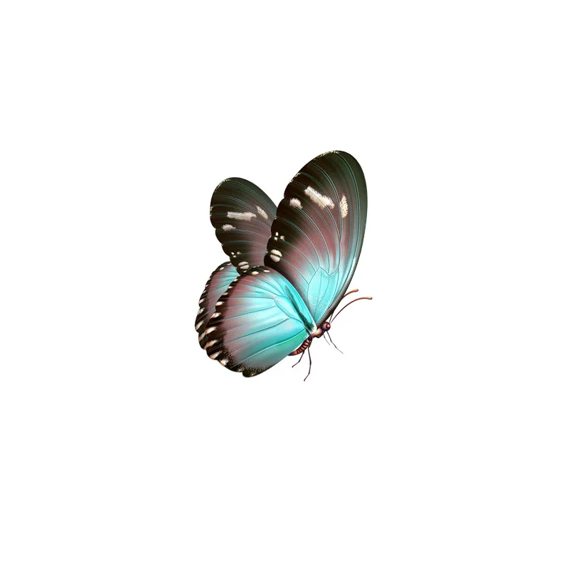 

Beautiful Hand-painted Butterfly Decal Waterproof PVC Motorcycle Logo 14CM*11CM