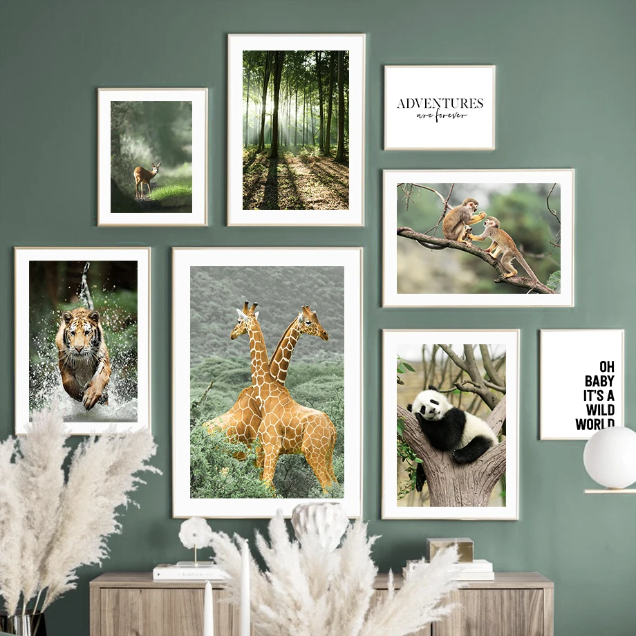 

Forest Tiger Elephant Giraffe Toucan Deer Panda Wall Art Canvas Nordic PostersPainting And Prints Wall Pictures Kids Room Decor