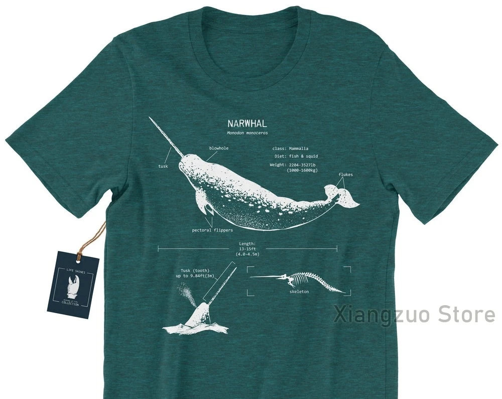 Футболка с надписью анатомии кофта Китом морская биология Пляжная футболка для