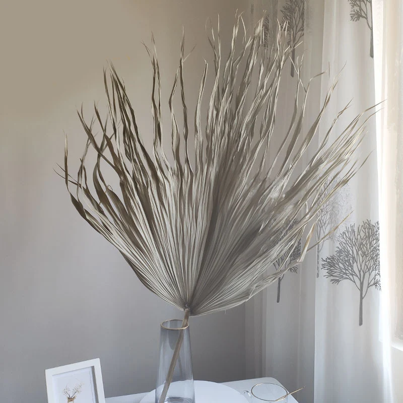 

1pc Natural Dried Flower Palm Leaf Fan Plant Palm Dried Tree Leaves Home Garden Wedding Party Living Bedroom Table Decoration