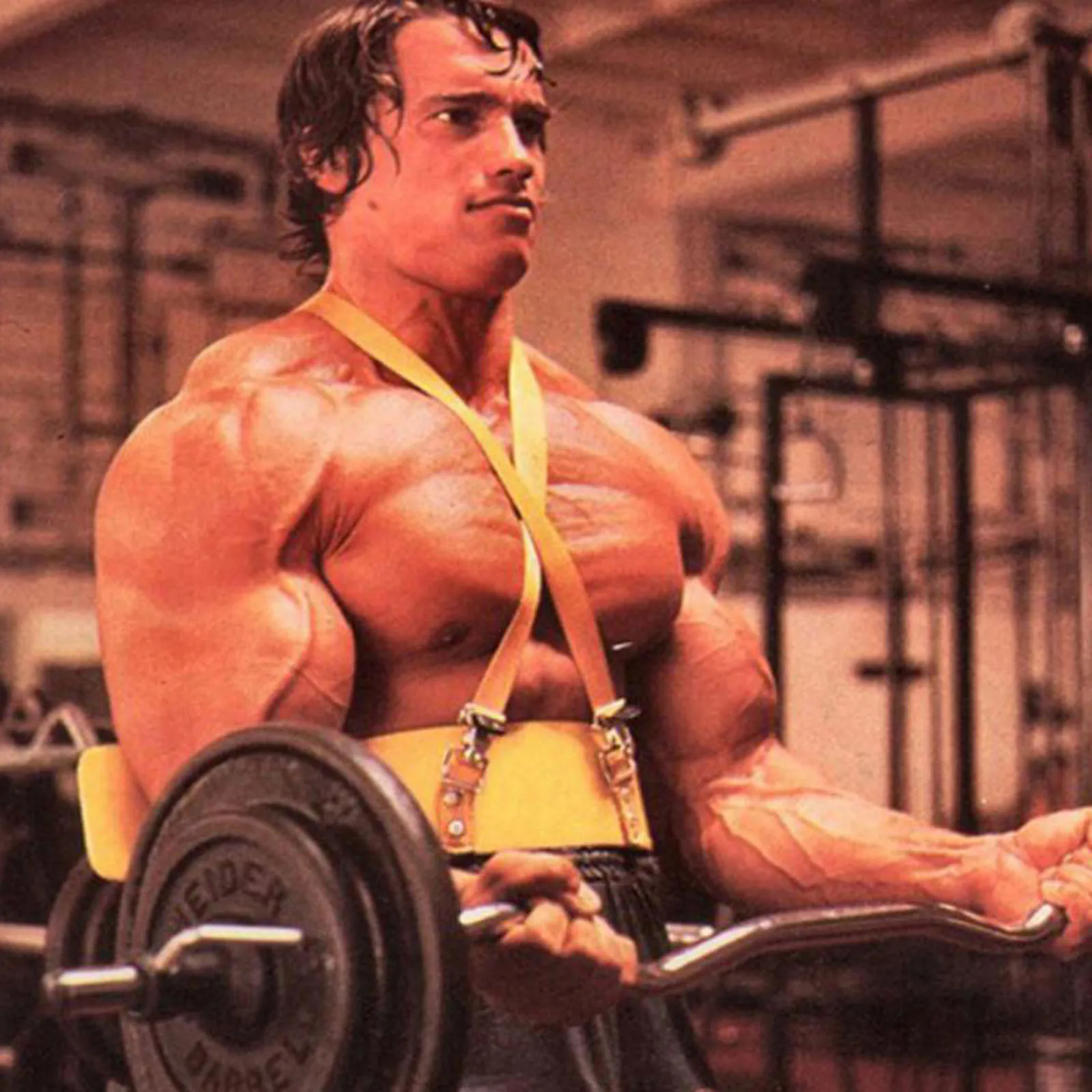 

2020 Heavy Duty Arm Isolator Blaster Body Building Bomber Bicep Curl Triceps Bar Biceps Training Board F Resistance Bands