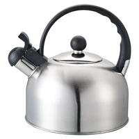 2022 new water kettle fashion durable stainless steel whistle white kettle with handle