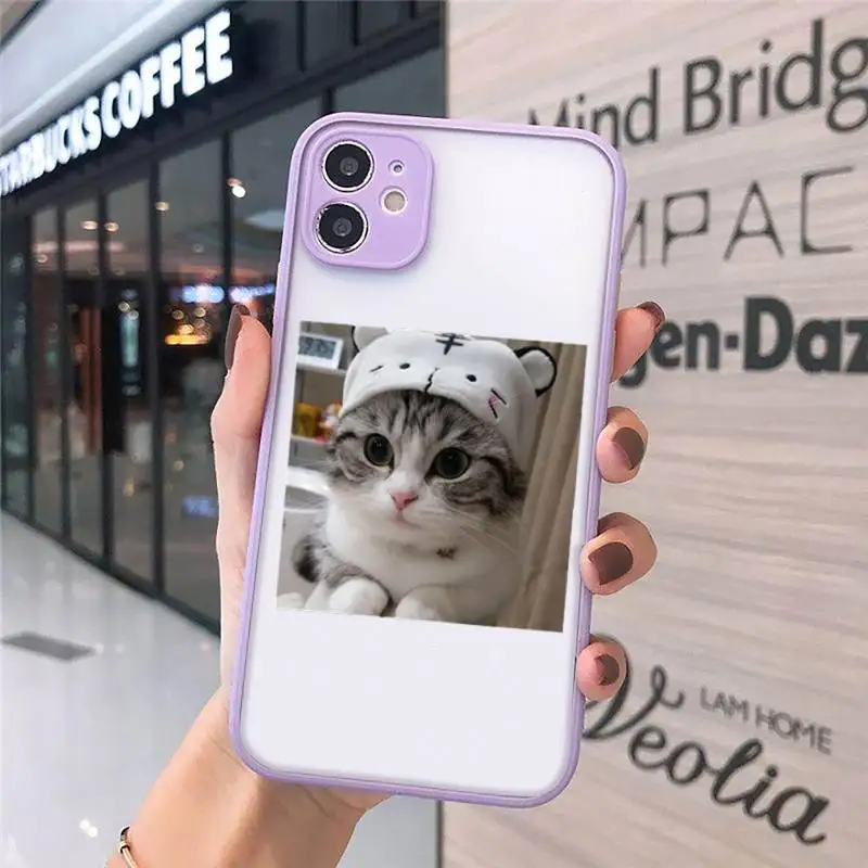 

Cute Cats New Year Gifts Phone Case Matte For iPhone 12 Mini 11 Pro XR XS Max 7 8 Plus X Hard PC Back Cover
