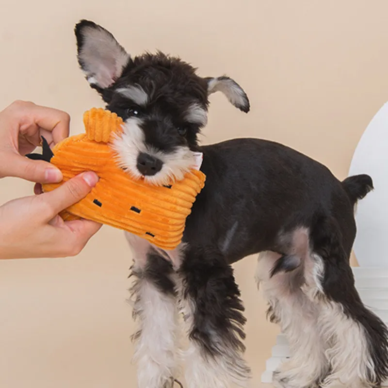 

Dog Toys Cactus Dogs Toy Interactive for Playing Flannel Interactive Dog Toys for Small Dogs Chew Toy Pet Products Pet Supplies