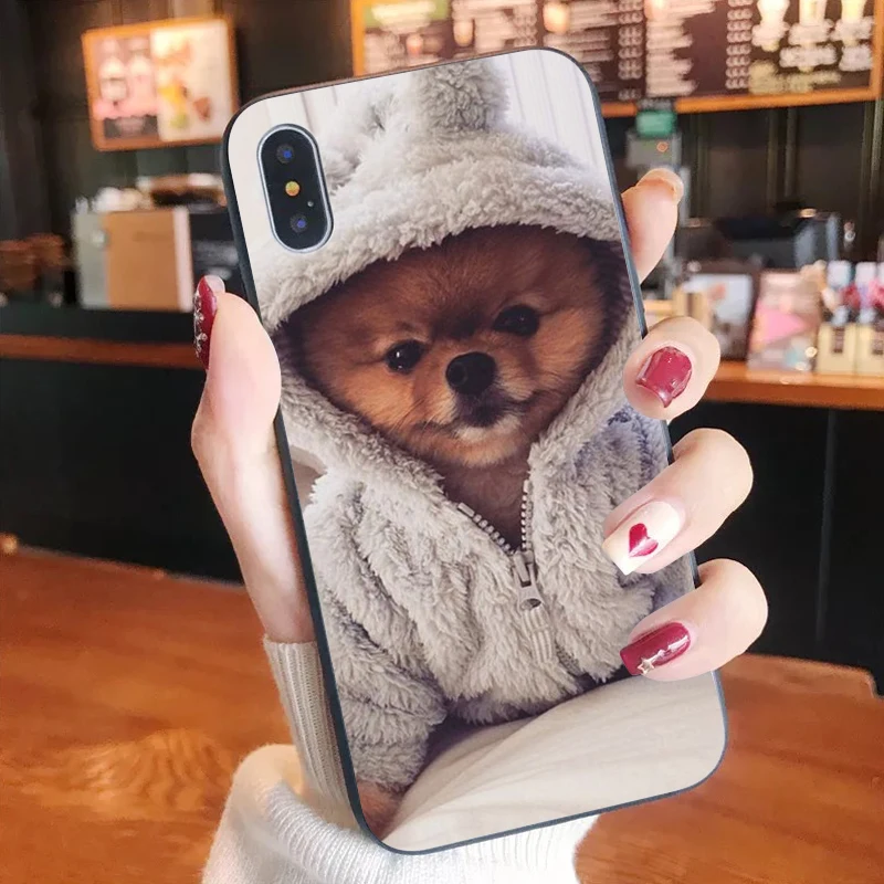 

Pomeranian dogs dog Colorful Cute Phone Case for iPhone 8 7 6 6S Plus X 10 5 5S SE XR XS XSMAX11 11pro 11promax animal fundas